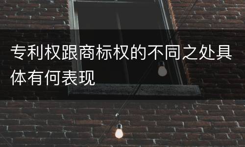 专利权跟商标权的不同之处具体有何表现