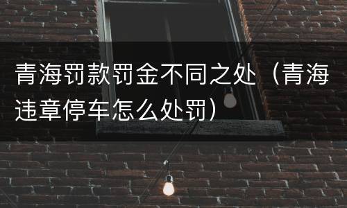 青海罚款罚金不同之处（青海违章停车怎么处罚）