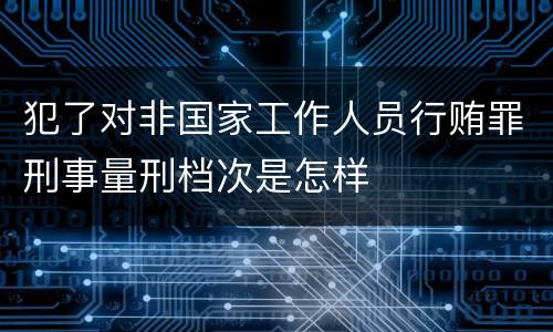犯了对非国家工作人员行贿罪刑事量刑档次是怎样