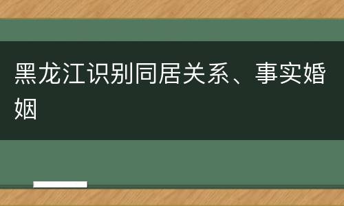 黑龙江识别同居关系、事实婚姻