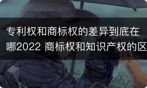 专利权和商标权的差异到底在哪2022 商标权和知识产权的区别