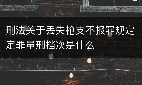 刑法关于丢失枪支不报罪规定定罪量刑档次是什么