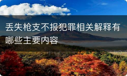 丢失枪支不报犯罪相关解释有哪些主要内容