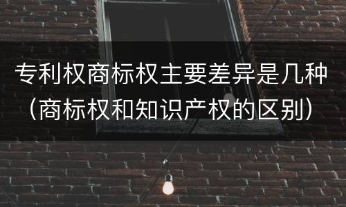 专利权商标权主要差异是几种（商标权和知识产权的区别）