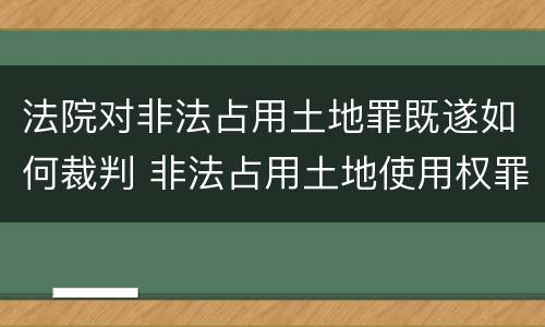 法院对非法占用土地罪既遂如何裁判 非法占用土地使用权罪
