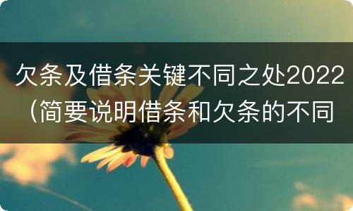 欠条及借条关键不同之处2022（简要说明借条和欠条的不同之处）