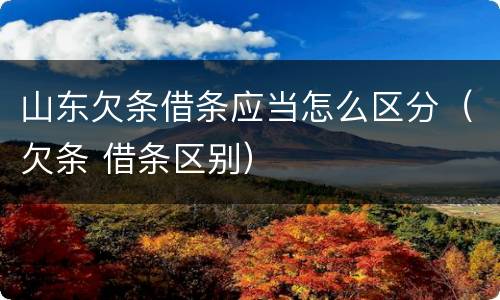 山东欠条借条应当怎么区分（欠条 借条区别）