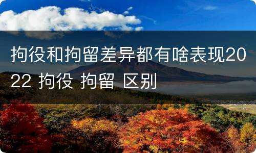 拘役和拘留差异都有啥表现2022 拘役 拘留 区别