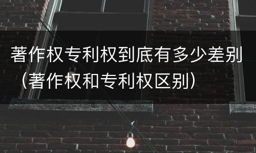 著作权专利权到底有多少差别（著作权和专利权区别）