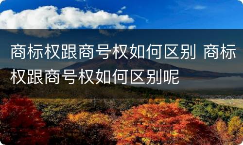商标权跟商号权如何区别 商标权跟商号权如何区别呢