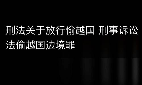 刑法关于放行偷越国 刑事诉讼法偷越国边境罪