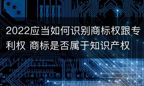 2022应当如何识别商标权跟专利权 商标是否属于知识产权
