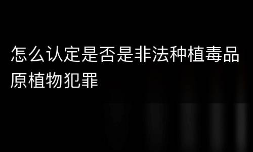 怎么认定是否是非法种植毒品原植物犯罪