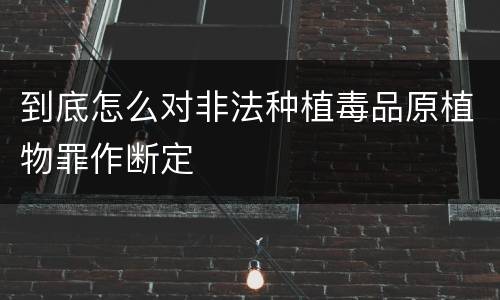 到底怎么对非法种植毒品原植物罪作断定