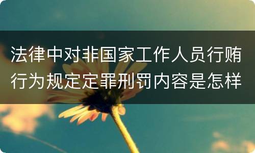 法律中对非国家工作人员行贿行为规定定罪刑罚内容是怎样
