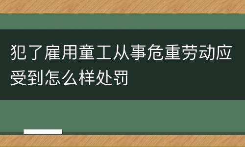 犯了雇用童工从事危重劳动应受到怎么样处罚