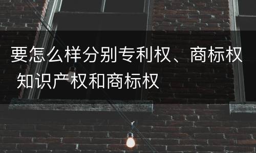 要怎么样分别专利权、商标权 知识产权和商标权