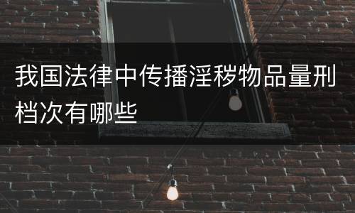 我国法律中传播淫秽物品量刑档次有哪些