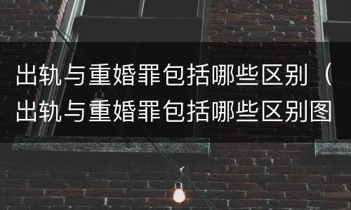 出轨与重婚罪包括哪些区别（出轨与重婚罪包括哪些区别图片）