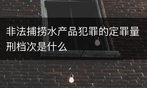非法捕捞水产品犯罪的定罪量刑档次是什么