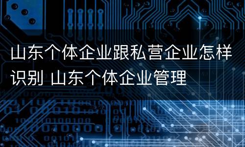 山东个体企业跟私营企业怎样识别 山东个体企业管理
