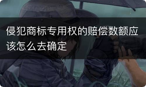 侵犯商标专用权的赔偿数额应该怎么去确定