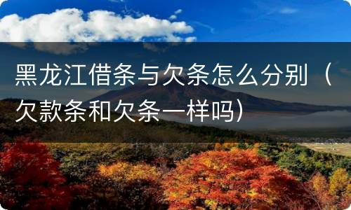 黑龙江借条与欠条怎么分别（欠款条和欠条一样吗）