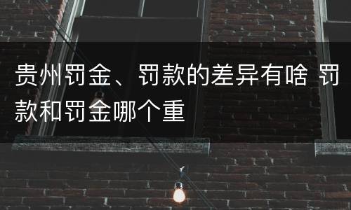 贵州罚金、罚款的差异有啥 罚款和罚金哪个重