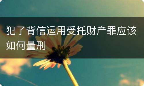 犯了背信运用受托财产罪应该如何量刑
