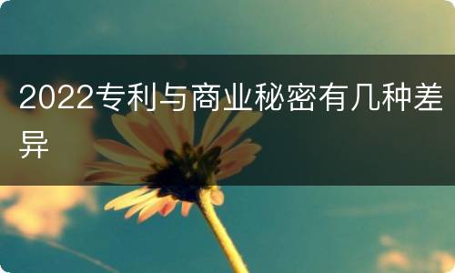 2022专利与商业秘密有几种差异