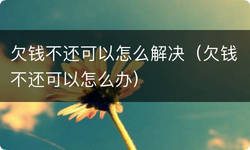 欠钱不还可以怎么解决（欠钱不还可以怎么办）