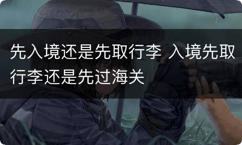 先入境还是先取行李 入境先取行李还是先过海关