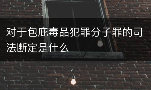 对于包庇毒品犯罪分子罪的司法断定是什么