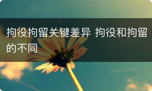 拘役拘留关键差异 拘役和拘留的不同