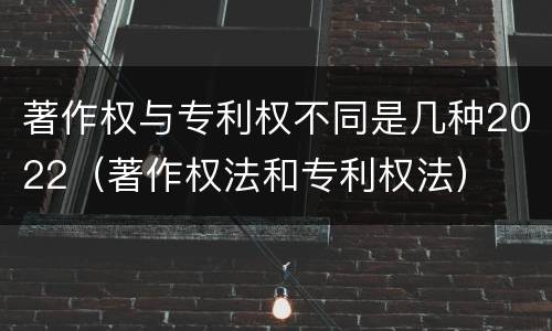 著作权与专利权不同是几种2022（著作权法和专利权法）