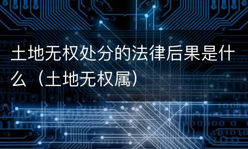 土地无权处分的法律后果是什么（土地无权属）