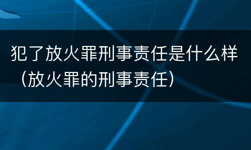 犯了放火罪刑事责任是什么样（放火罪的刑事责任）