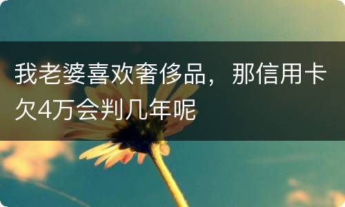 我老婆喜欢奢侈品，那信用卡欠4万会判几年呢
