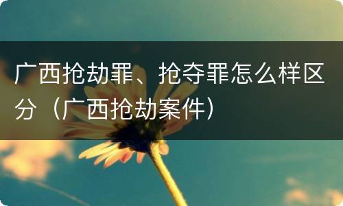 广西抢劫罪、抢夺罪怎么样区分（广西抢劫案件）
