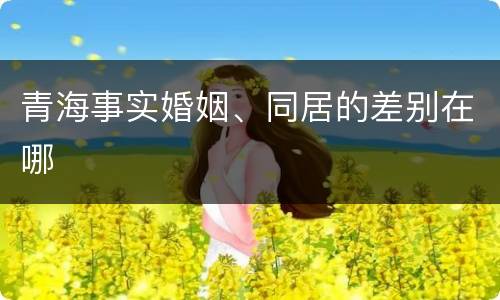 青海事实婚姻、同居的差别在哪