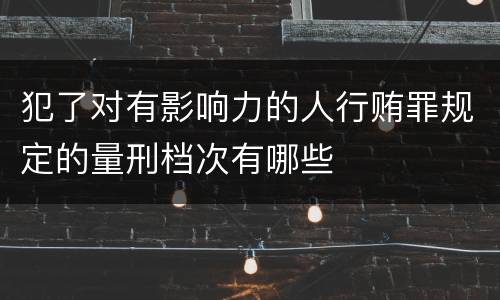 犯了对有影响力的人行贿罪规定的量刑档次有哪些