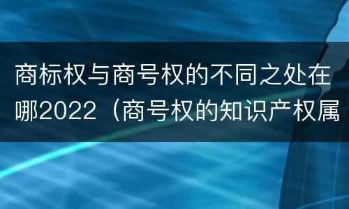 商标权与商号权的不同之处在哪2022（商号权的知识产权属性）