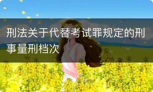 刑法关于代替考试罪规定的刑事量刑档次