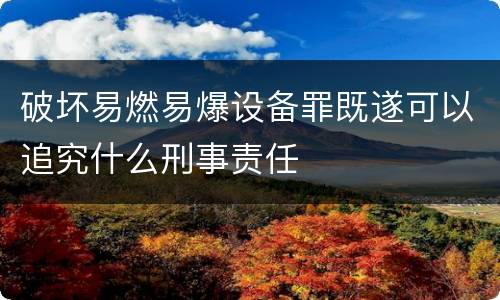 破坏易燃易爆设备罪既遂可以追究什么刑事责任