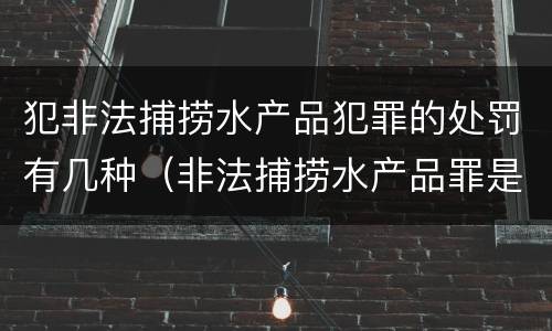 犯非法捕捞水产品犯罪的处罚有几种（非法捕捞水产品罪是行为犯吗）