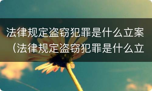 法律规定盗窃犯罪是什么立案（法律规定盗窃犯罪是什么立案的）