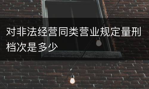 对非法经营同类营业规定量刑档次是多少