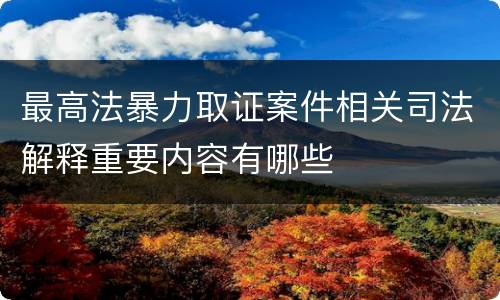 最高法暴力取证案件相关司法解释重要内容有哪些