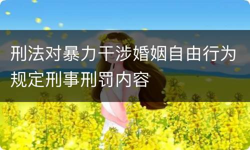刑法对暴力干涉婚姻自由行为规定刑事刑罚内容