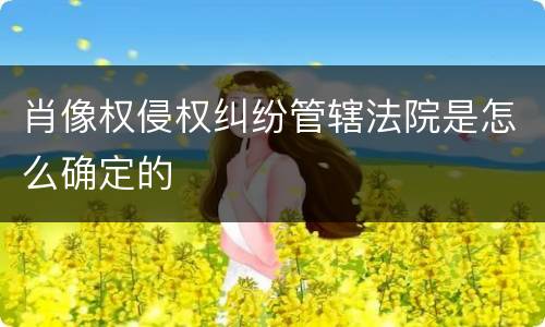 肖像权侵权纠纷管辖法院是怎么确定的